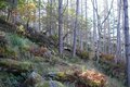 【首都圏近郊】1時間半で登頂できる山梨の隠れ名山「小楢山」紅葉の見頃はもうすぐ！の画像004