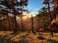 『鬼滅の刃』竈門炭治郎ゆかり「雲取山」へ！ 絶景の「山頂＆稜線」はまさに聖地「胸アツ」百名山！  秩父から奥多摩「登山レポ」の画像002