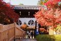 京都から電車で約10分！ 穴場の紅葉スポット「長岡京エリア」の名所「光明寺」＆「長岡天満宮」現地レポ！ 期間限定イベントもの画像001
