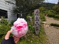 山頂からの「富士山の絶景」！　塔ノ岳「バカ尾根」大倉ルート「7時間歩行＆体力」トレーニング登山レポ！の画像001