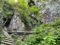 熊本県は阿蘇山だけじゃない！  南阿蘇村「免の石トレッキングルート」での「往復2時間の幸せを呼ぶネコ探し」とは？の画像004
