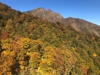 今週末の紅葉見るならどこ？ 名所＆人気スポットから最新情報をお届け「WEEKLY紅葉ニュース」【2023年10月第3週】