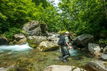 渓流釣り】夏がやって来た！「そろそろ山のイワナが釣りたいな