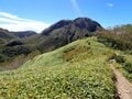 【9月の晴れ、どこに登る？】歩きごたえ抜群＆天空の五色沼「日光白根山」の画像012