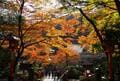 京都「紅葉の奥座敷・パワースポットめぐり」約2時間ハイキング！  源義経ゆかり「鞍馬寺」から、イベント盛りだくさん「貴船神社」錦秋レポの画像001