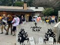 ひと手間でテントサイトがハロウィン仕様！「2021年ハロウィンキャンプ」を楽しむ「3つのアイディア」の画像001