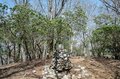 【首都圏近郊】まだ間に合うお花見登山「西丹沢・畦ヶ丸山」は桜だけじゃない欲張りプランを楽しめるんです！の画像017