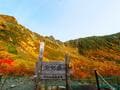 日本百名山「木曽駒ヶ岳」千畳敷カールの「秋の絶景」！  ロープウェイでアクセス・まるで「天空の庭園」色彩に感動！  ライチョウにも“大遭遇”「登山レポ」の画像002