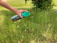 どこにでもいる「アウトドアの敵」ヤブ蚊・ブヨ・マダニ！ 定番「虫よけアイテム」の意外なNG行為とは！？