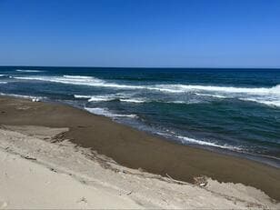 暑いと「魚が釣れなくなる」は本当か？  夏の「砂浜ルアーフィッシング」釣果と、“合わせワザ” が有効「5つの攻略条件」【レポート】