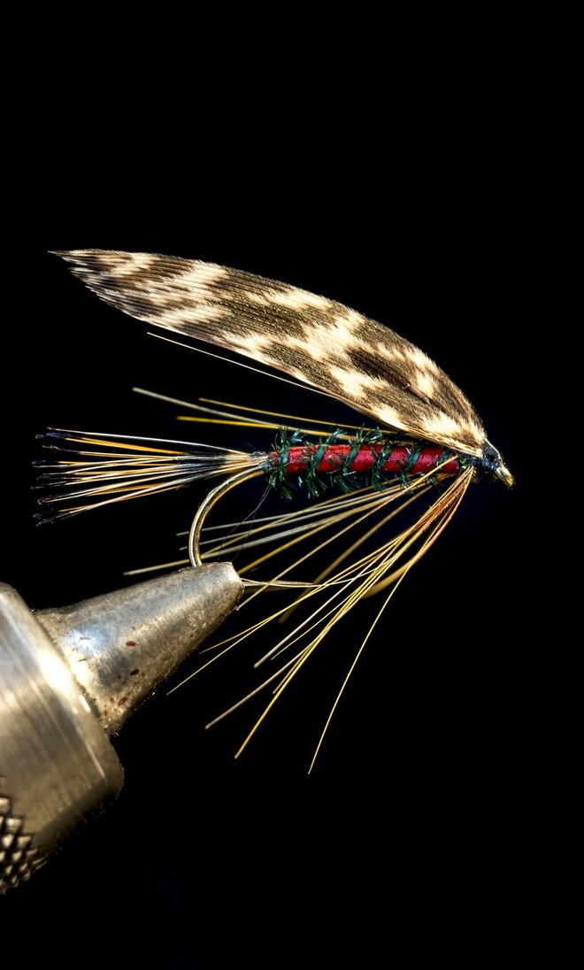 【渓流釣り】冬季キャッチ＆リリース！ 風光明媚な富士の裾野『黄瀬川』で、日がな一日ロッドを振り続けてフライフィッシング　静岡県裾野市｜2025年の画像006