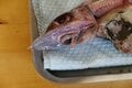 【きまぐれクックにも登場】「これ、ホントに食べられる？」めっちゃレアな人面深海魚「トウジン」のお味はいかに？の画像004
