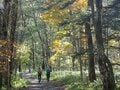 【晩秋登山】北アルプスの絶景をひとり占め！ 登山者の少ない “穴場” シーズンを狙って「涸沢」＆「奥穂高岳」への画像004