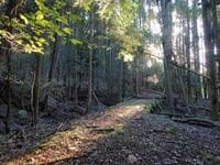 眺望が悪くても山が好き！ 脱ビギナーのあとはカメラ？ 三角点？ 「おひとり様の趣」味わいたいライターのディープな山歩きとは「西鎌倉山」【兵庫県三田市】