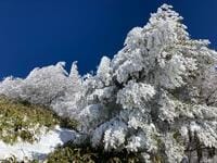 日帰りで登れる冬山「南アルプス・大川入山」の絶景！ 10年通いライター満喫「晴天＆樹氷」フォト登山レポ