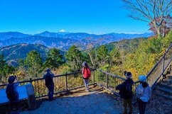 高尾山の登山ガイド｜所要時間・コース・服装など初心者向け解説