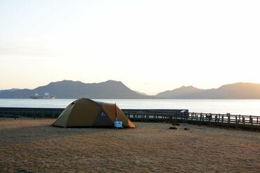 3ページ目 野生のウサギが500匹 テントでも泊まれる 無人のウサギ島 広島 大久野島での 見たことのない光景 画像 トラベル ニュース Bravo Mountain